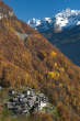 20101105_132238 Savogno nei boschi autunnali.jpg